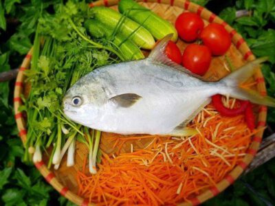 Cá chim trắng sống (kg)