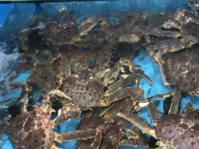 Cua King Crab Sống