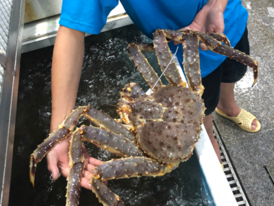 Cua King Crab Sống